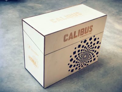 Coffret de réponse à appel d’offres pour Transdev – service de transports Calibus