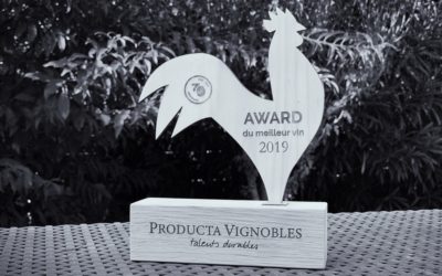 Trophées sur-mesure pour PRODUCTA VIGNOBLES