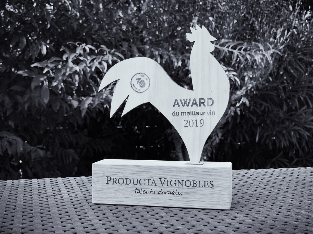 Personnalisé Acrylique Trophée Récompenses Fabricants Fournisseurs