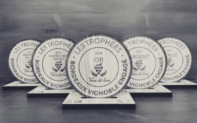 Trophées Bordeaux Vignoble Engagé : une création en chêne sur-mesure