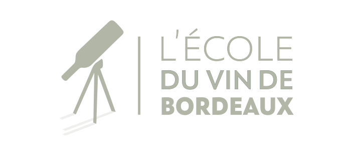 ecole-vin-bordeaux