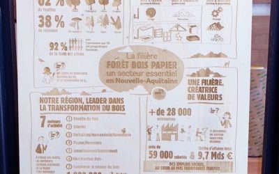 Infographie pour la filière bois papier Fibois Nouvelle-Aquitaine