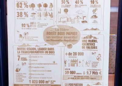 Infographie pour la filière bois papier Fibois Nouvelle-Aquitaine