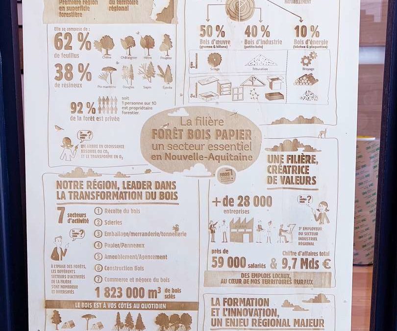 Infographie pour la filière bois papier Fibois Nouvelle-Aquitaine